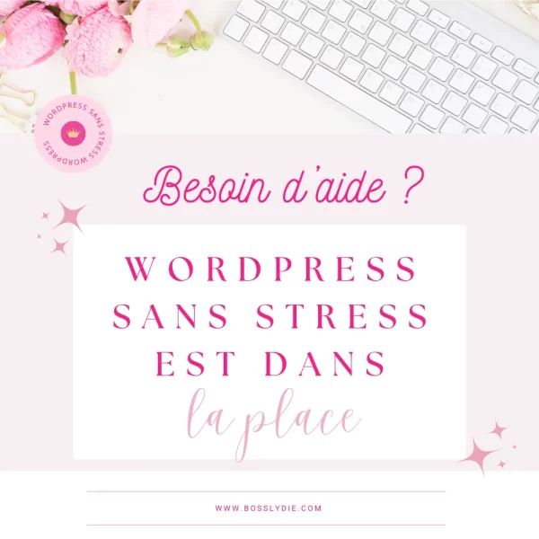 Service Installation Wordpress sans Stress – Image 2