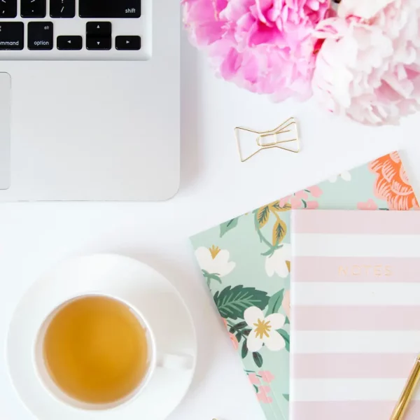 Vignette Template WordPress sans Stress 7